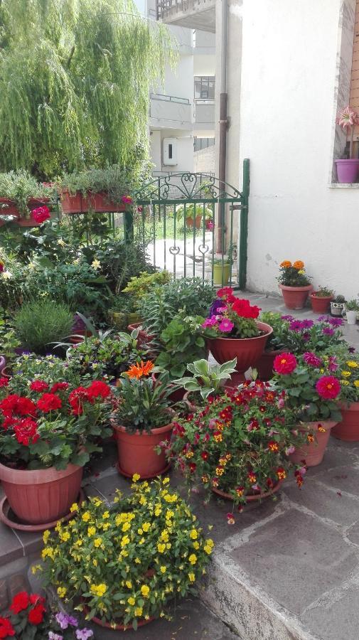 B&B A Casa Di Carla Castelsaraceno Luaran gambar
